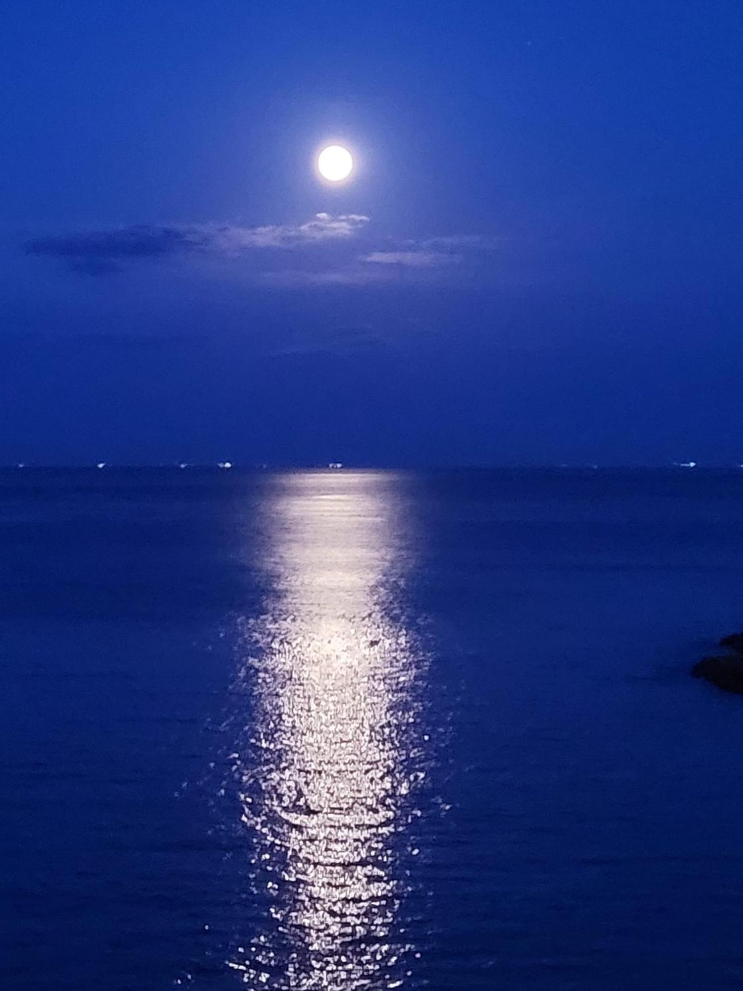 Roma Hotel Sliema Dış mekan fotoğraf